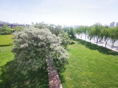 -咸阳湖景区-统一广场