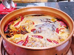 -镇江龙·火锅串串(武侯祠店)