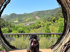 -1013 PET SHOP 宠物商店(近铁城市广场店)
