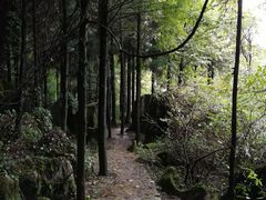 景点-山王坪喀斯特国家生态公园