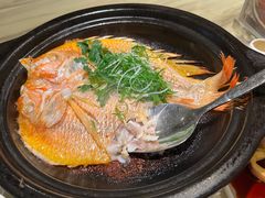 精酿啤酒焗红鲷鱼-陶陶居酒家(环市东店)