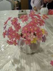 点击看大图 -宝生月子中心·独栋独院式(南山店)