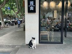 门面-囿面传统制面馆(中央路店)