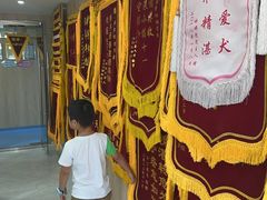 -恒幸动物医院·急重症转诊中心·神经内外科·CT核磁