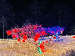 -青龙湖公园