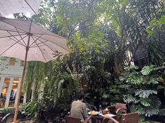 -Fern Forest Cafe