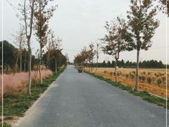 -嘉北郊野公园北游客中心-地上停车场