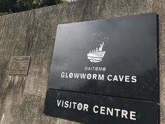 -怀托摩萤火虫洞