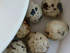 -康陵正德春饼宴26号