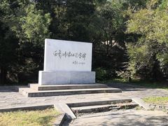 -白水寺森林公园