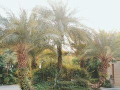 -碧桂园润杨溪谷温泉酒店