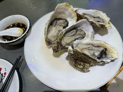 -生蚝园