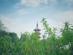 -上海市龙华烈士陵园