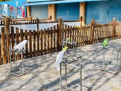 -秦皇岛野生动物园