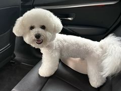 -它主义宠物(梁溪万达店)