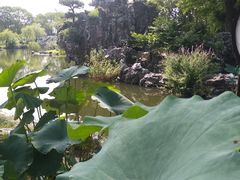 -无锡蠡湖国家湿地公园-蠡园