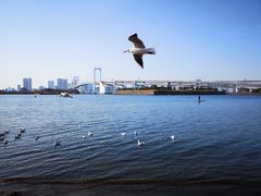 -台场海滨公园船码头