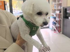 -天宠宠物医院24小时·急重症诊疗中心·全科·腔镜特色(和平分院)