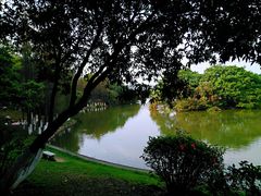 -番禺大夫山森林公园