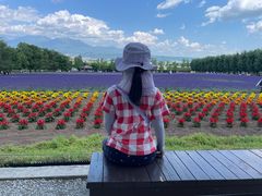 -富田农场