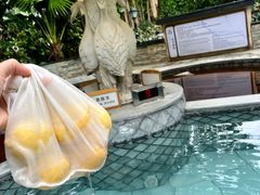 -碧水湾温泉