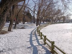 -长春市南湖公园