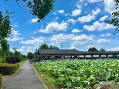 -千龙湖生态旅游度假区