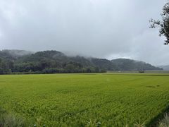 -南泥湾风景区