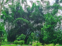 -广悦华阳朔河畔度假酒店(十里画廊遇龙河店)