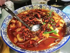 金牌毛血旺-新蜀会四川豆花(五羊店)
