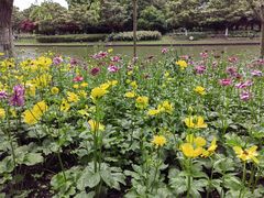-上海鲜花港