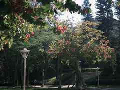 -厦门大学(思明校区)