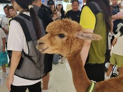 -威高广场