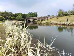 -眉山湿地公园(东坡区)