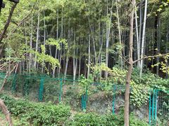 -九龙潭景区