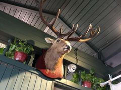 -有才叔的小馆(招商依云曲江店)