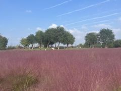 -汉长安城未央宫国家考古遗址公园