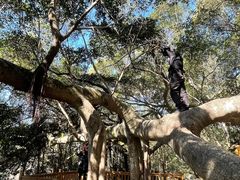 -青芝山风景名胜区
