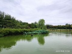 -燕郊植物园