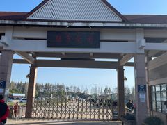 -上海都市菜园