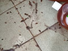 -港龙棋牌桌球城(上沙店)