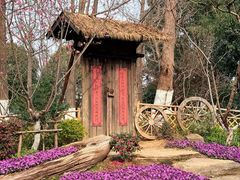 -圩墩遗址公园