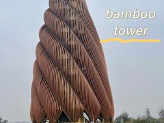 -成都大熊猫繁育研究基地