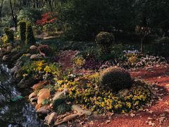 -上海共青森林公园