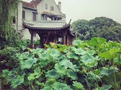 西湖游船-西湖游船