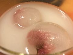 樱花冰饮-松涛日本料理