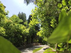 -千佛山风景名胜区