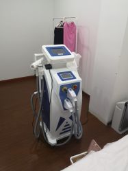 -Lab Season惜辰颜究社