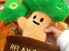 -首创奥特莱斯(西安店)