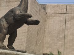 -自贡恐龙博物馆